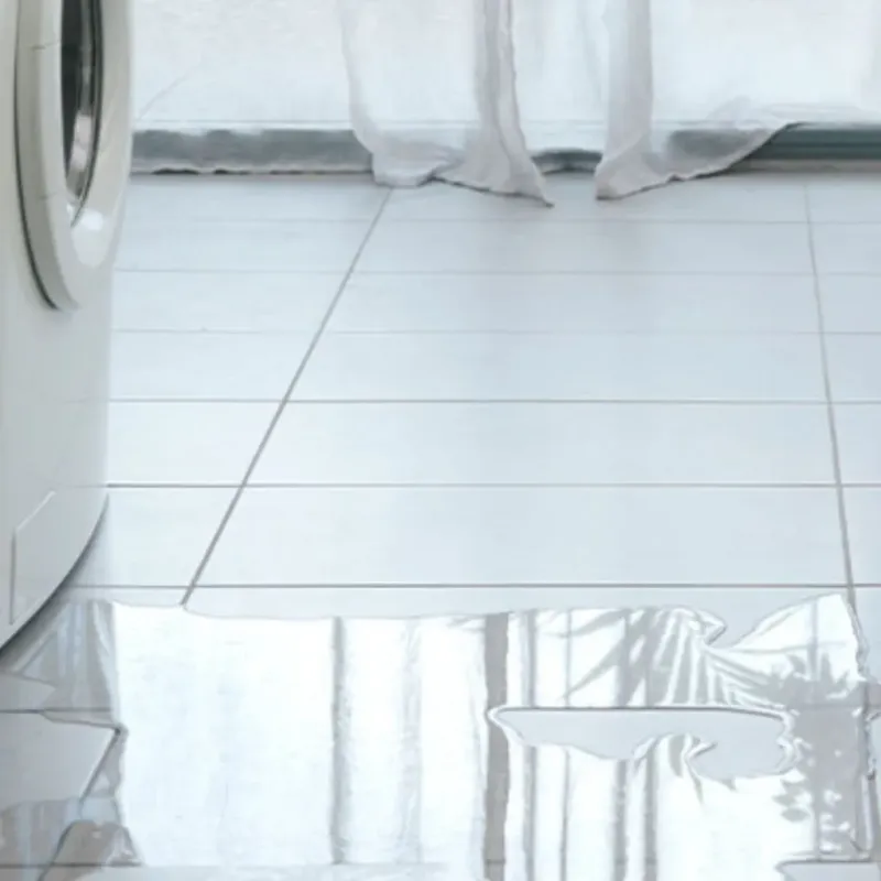 Appliance Leak Cleanup in Taylor, AZ